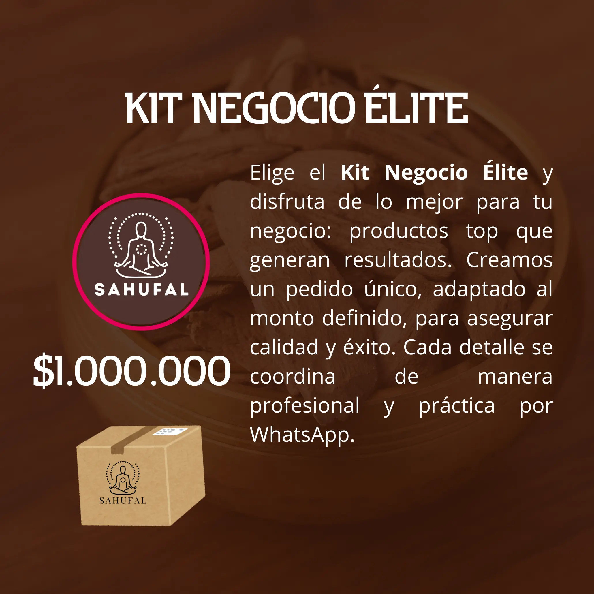 Kit Negocio Élite